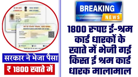 E-Shram Card Latest News - ताजा खबर 1800 रुपए ई-श्रम कार्ड धारकों के खाते में भेजी गई किस्त ई श्रम कार्ड धारक मालामाल