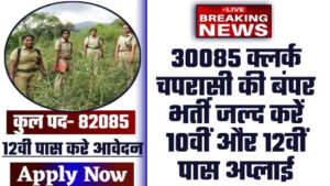 Forest Guard Vacancy 2024 - ताजा खबर 30085 क्लर्क चपरासी की बंपर भर्ती जल्द करें 10वीं और 12वीं पास अप्लाई