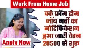 Work From Home Jobs - खुश खबर वर्क फ्रॉम होम जॉब भर्ती का नोटिफिकेशन हुआ जारी वेतन 28500 से शुरू