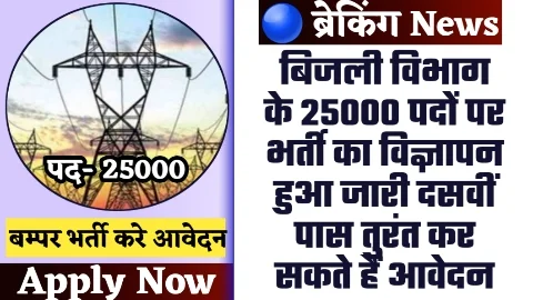 Bijli Vibhag Lineman Bharti 2024 - 25000 पदों पर बिजली विभाग के भर्ती का विज्ञापन हुआ जारी दसवीं पास तुरंत कर सकते हैं आवेदन